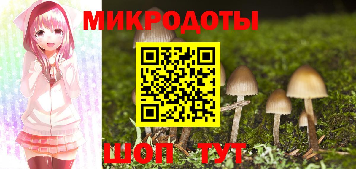 Шахты  Галлюциногенные грибы Psilocybe  Галлюциногенные грибы прущие грибы  Вход с VPN 